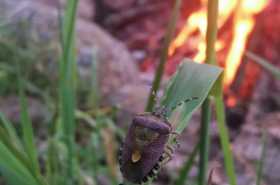 sat-IMG-20220612-WA0011