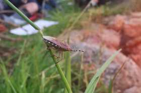 sat-IMG-20220612-WA0028