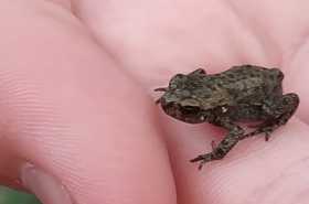 sat-IMG-20220612-WA0041