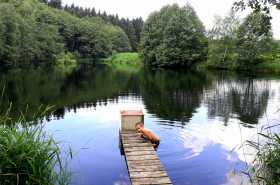 sun-IMG-20220612-WA0073