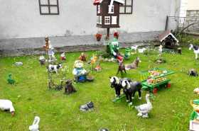 sun-IMG-20220612-WA0074