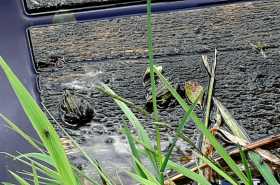 sun-IMG-20220612-WA0075