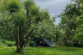 06F57A9A-9379-4393-97A1-A11D47F3560A