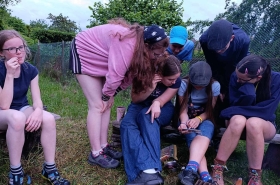 134aeef9e35c158e09ca9e3996098ee3