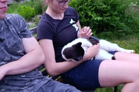 3bd233b5be7a7e56678d0f570f2c1329