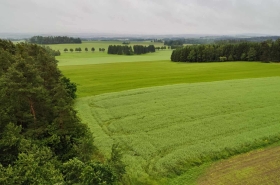 417cf862d5ef9da9ebe4c1d5403bec62