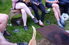 4897246189906ee42620fb9cf0bfa0e0