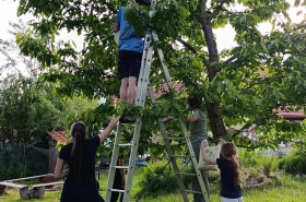 5b38ef9c49c984c5964c1b99e983be45-2