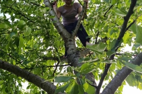 ad1782c2ce4cba58ab24a391c44a111e