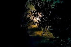 b61ac366e88d777148acc65fcde3eb55