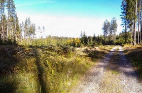 PANO_20180929_123625