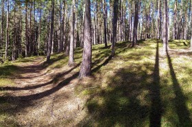 PANO_20180929_140449