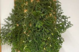 318877080_736700804601304_4778511509024076993_n