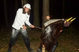 OLYMPUS DIGITAL CAMERA